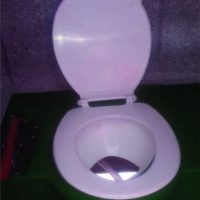 Portable toilets 2